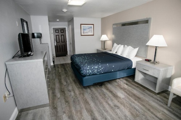 Anchor Beach Inn image 21